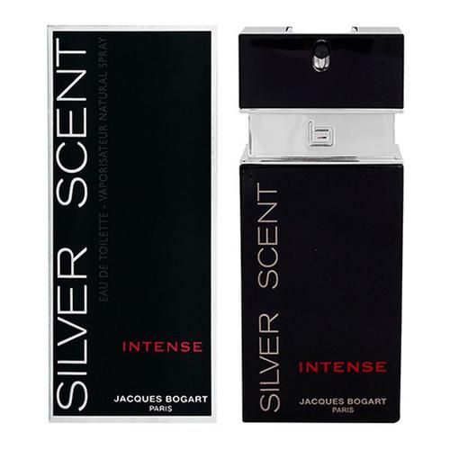 Perfume Silver Scent Masculino 