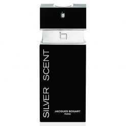 Perfume Silver Scent Masculino 